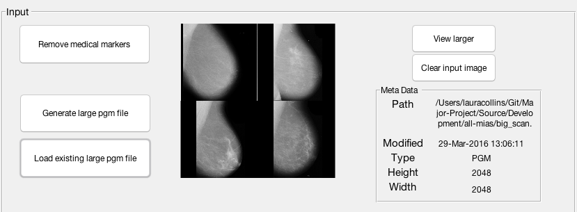 Input image info